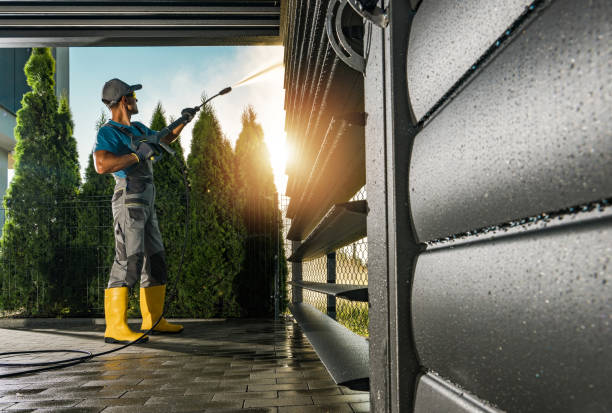  Ponderosa Pine, NM Pressure Washing Pros